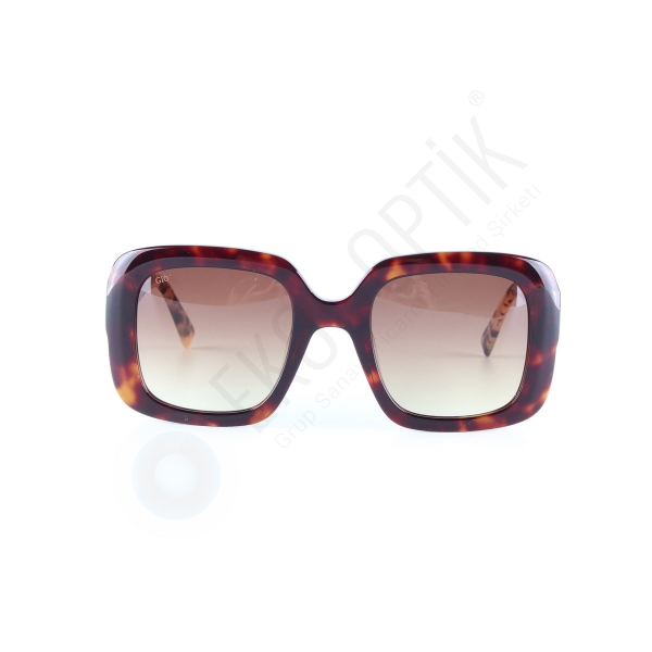 G1370C6 Occhiali Di Gio Kadın Güneş Gözlüğü Kahverengi Kırçıllı